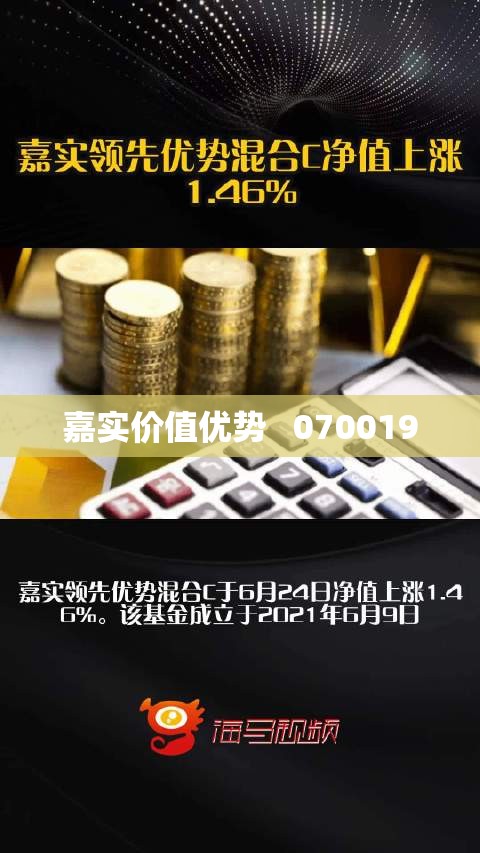 嘉实价值优势 070019 嘉实价值优势 070019