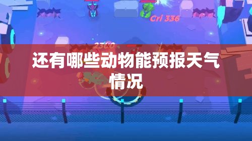 还有哪些动物能预报天气情况