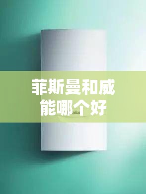 菲斯曼和威能哪个好