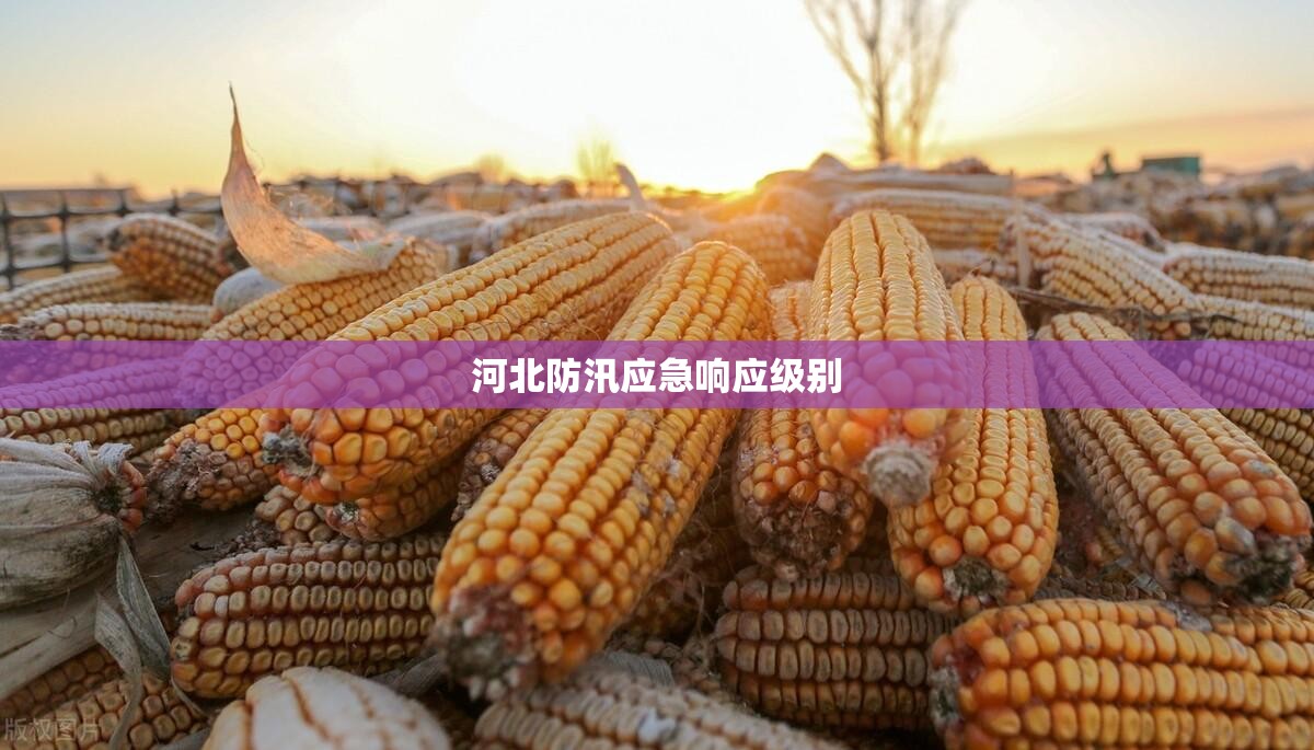 辅助最新信息“起跑得快软件开挂-最新辅助详细教程