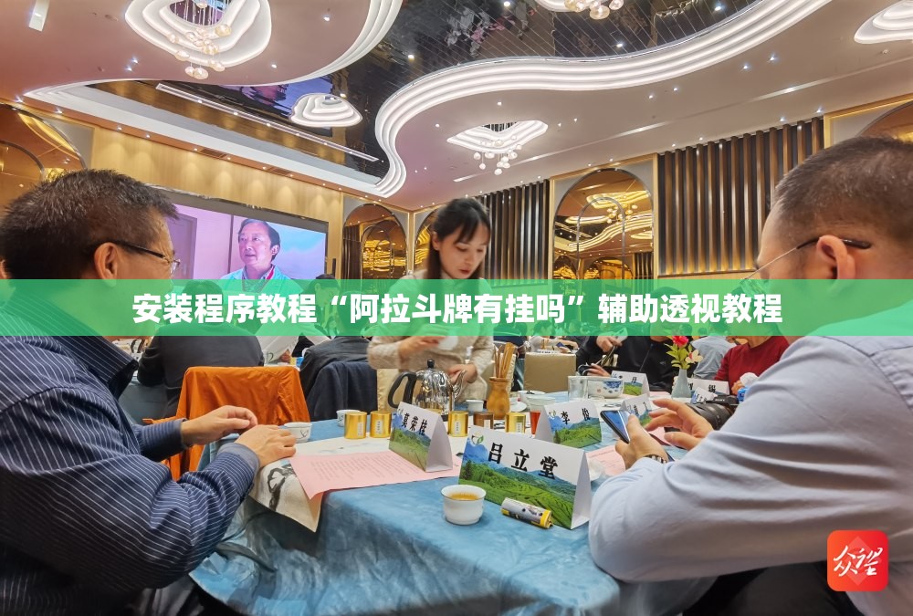 安装程序教程“阿拉斗牌有挂吗”辅助透视教程