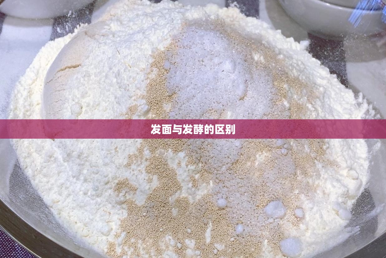 每天基金净值查询（每天基金涨跌实时查询）