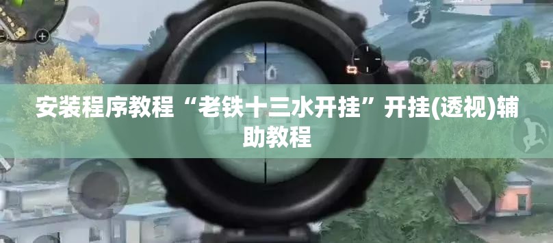 安装程序教程“老铁十三水开挂”开挂(透视)辅助教程
