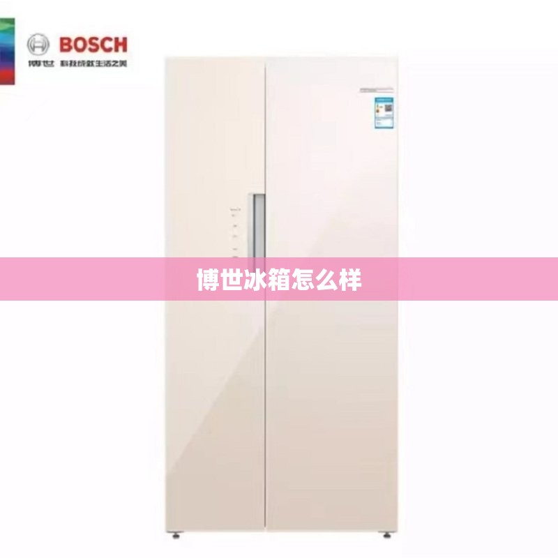 博世冰箱怎么样