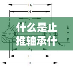什么是止推轴承什么是支撑轴承_1