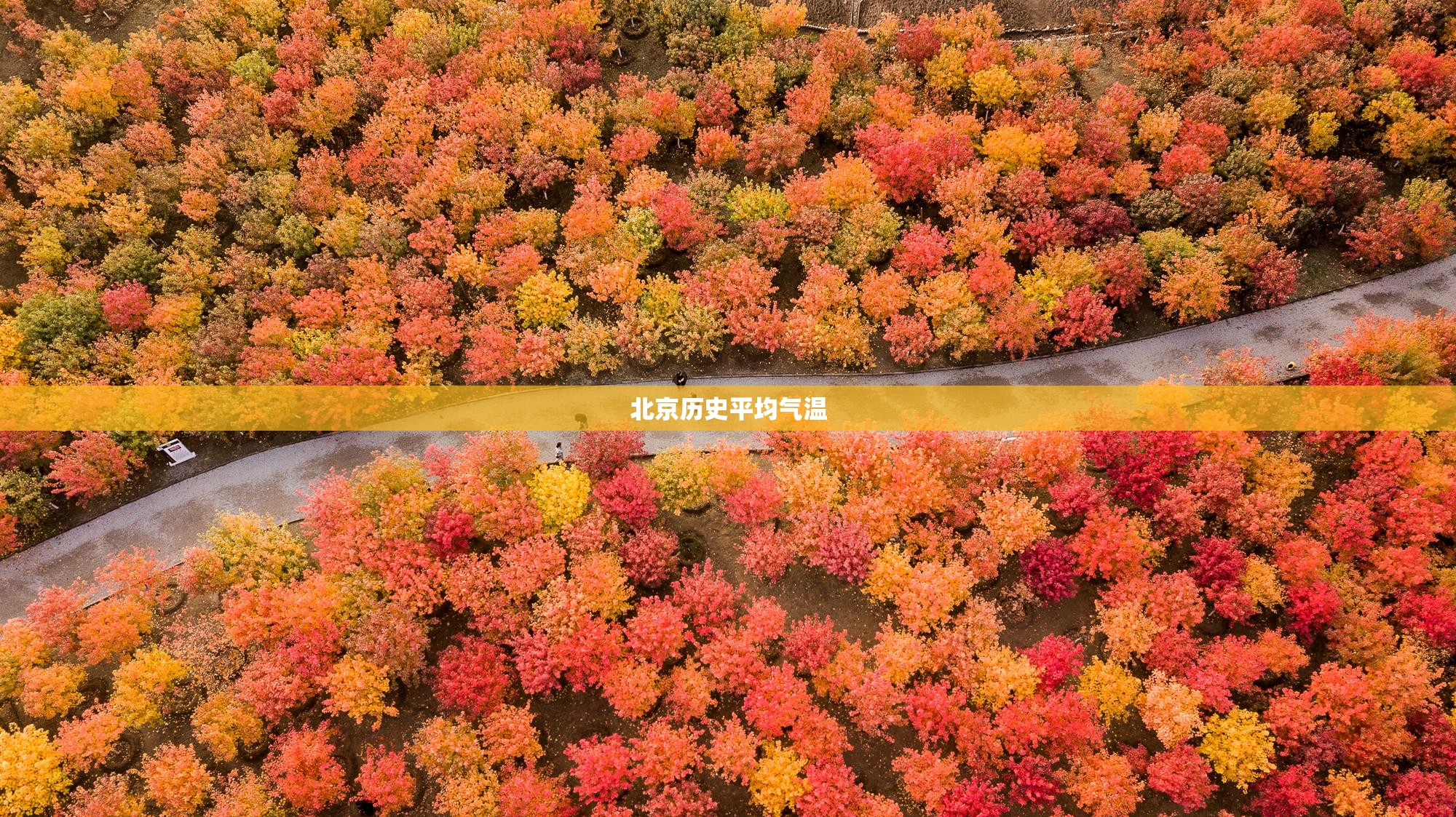 【中国稀土费用表/中国稀土费用大涨】