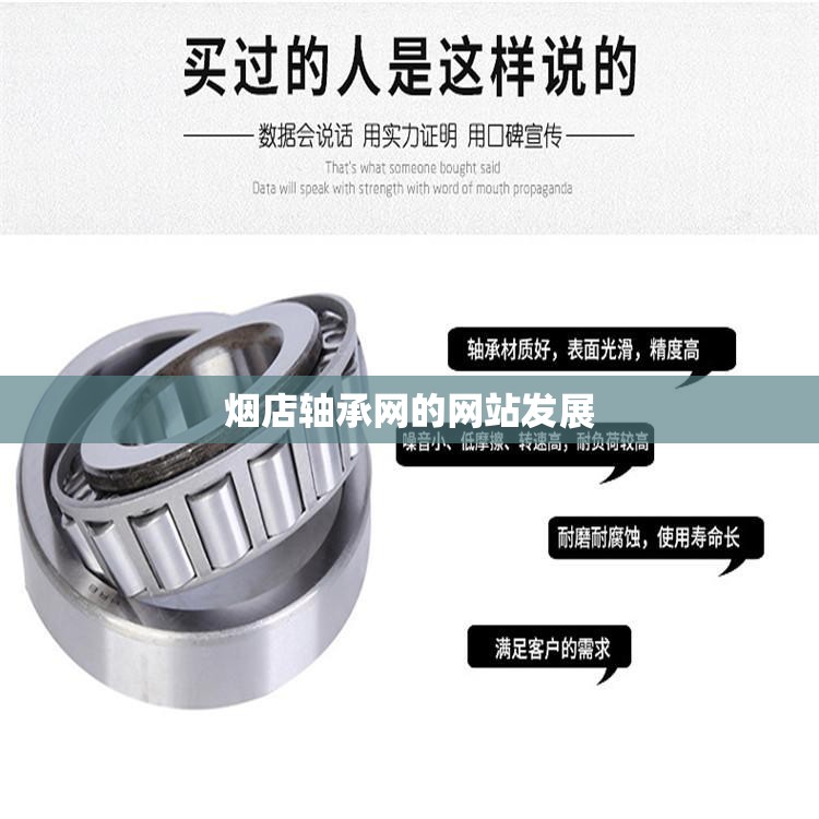 烟店轴承网的网站发展