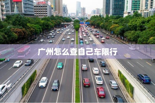 vv5和vv7的区别