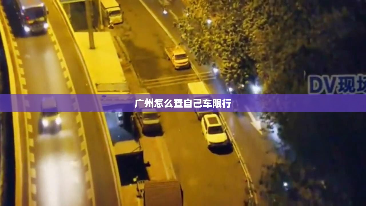 广州怎么查自己车限行 广州怎么查自己车限行
