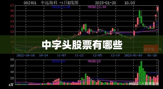 2022款牧马人最新款/2022款牧马人最新款图片大全