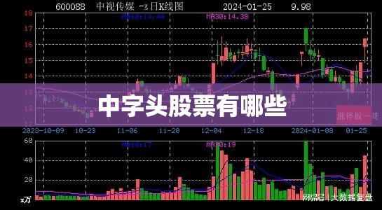 中字头股票有哪些
