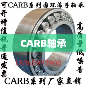 CARB轴承 CARB轴承