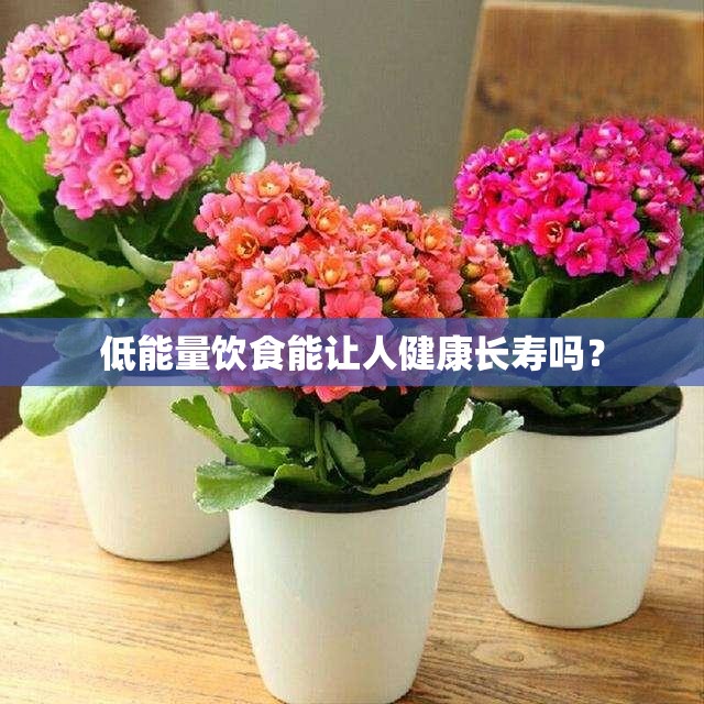 低能量饮食能让人健康长寿吗？