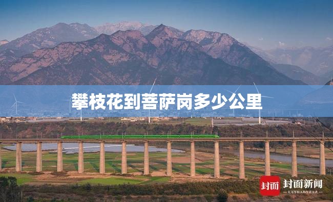 攀枝花到菩萨岗多少公里 攀枝花到菩萨岗多少公里