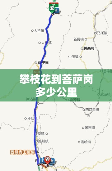 攀枝花到菩萨岗多少公里 攀枝花到菩萨岗多少公里