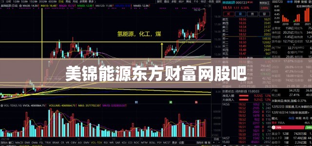 【东方财富网600821/东方财富网600495】