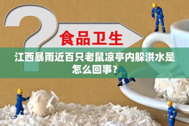 【燃气三联动报警器,燃气报警三联动指的是什么】