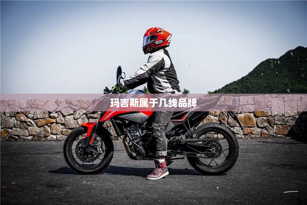 玛吉斯属于几线品牌