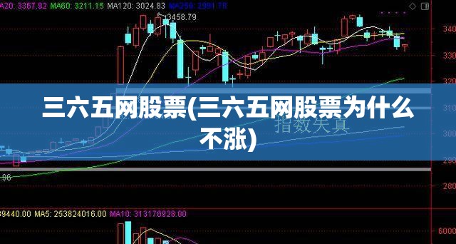 三六五网股票(三六五网股票为什么不涨)