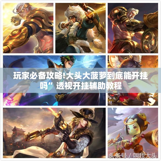 玩家必备攻略!大头大菠萝到底能开挂吗	”透视开挂辅助教程