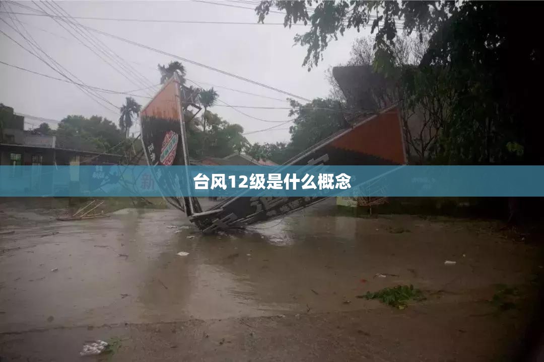 【女装品牌排名前十/女装品牌排名前十30岁左右】