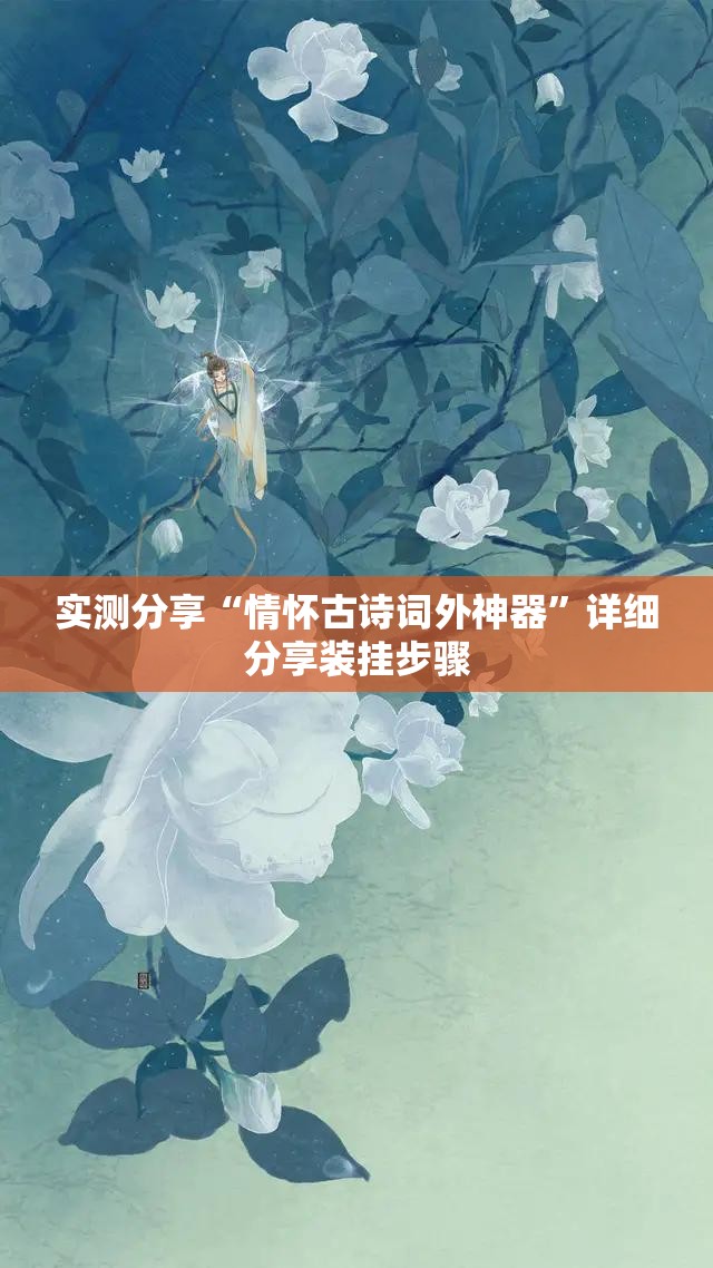 实测分享“情怀古诗词外神器”详细分享装挂步骤