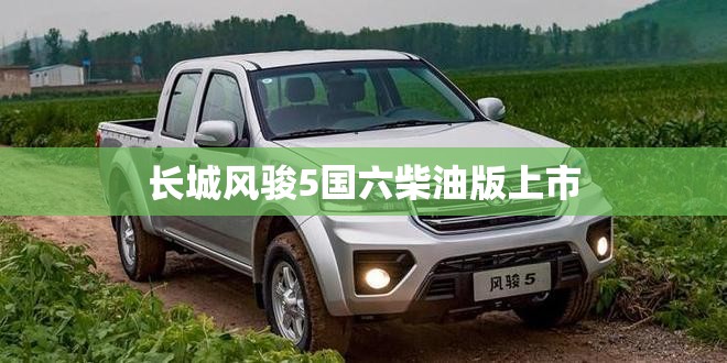雷克萨斯rx300典雅版配置怎么样-