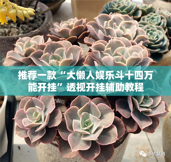 国信证券开户靠谱吗/国信证券开户收费标准