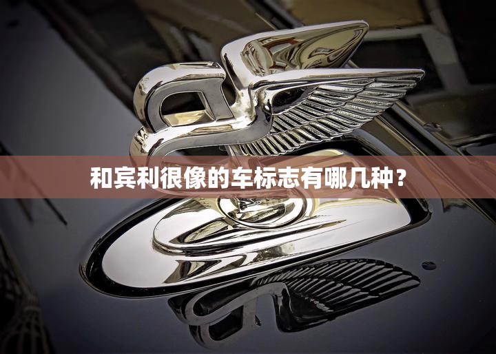 安装程序教程“新玉海楼茶苑有挂吗”透视开挂辅助教程