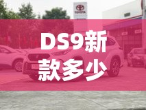 DS9新款多少钱能落地? DS9新款多少钱能落地?
