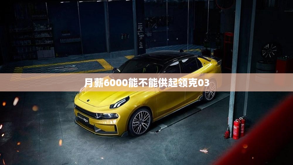 月薪6000能不能供起领克03 月薪6000能不能供起领克03