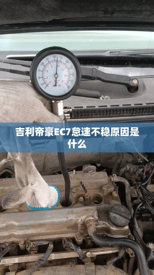 玩家辅助神器“白金岛跑得快开挂视频”通用版下载教程