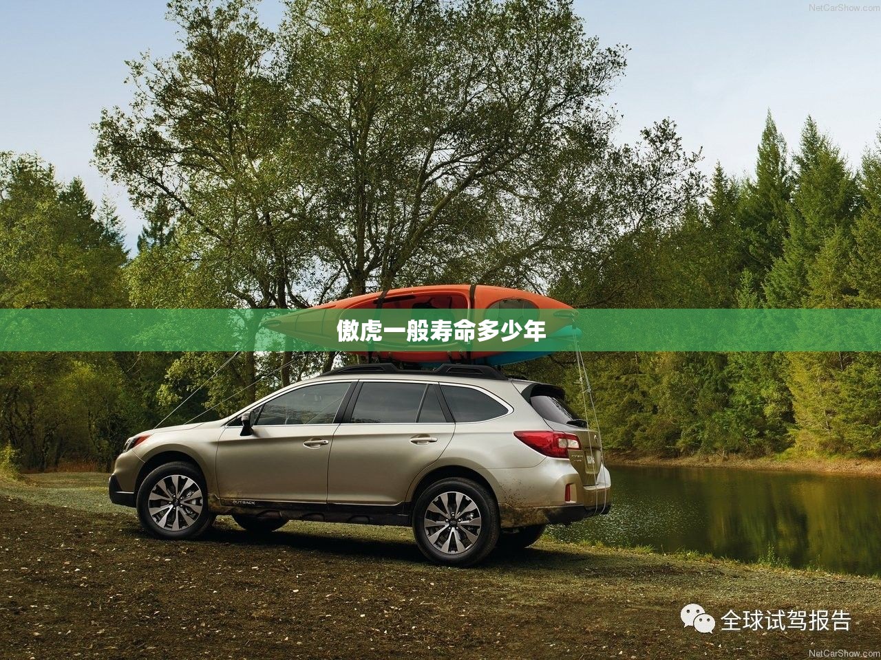 傲虎一般寿命多少年 傲虎一般寿命多少年