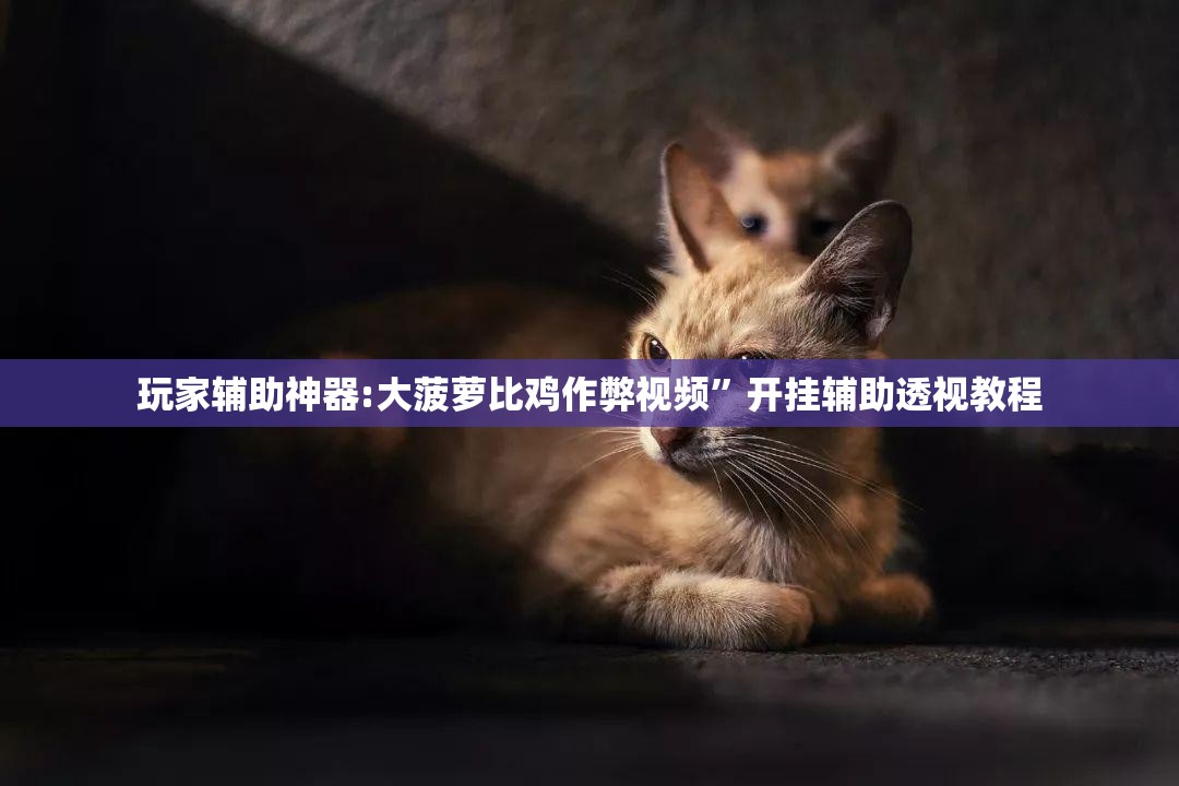 玩家辅助神器:大菠萝比鸡作弊视频”开挂辅助透视教程