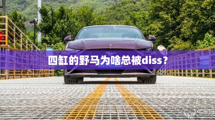 安装程序教程“pokermaster辅助器最新版本更新内容介绍”最新辅助详细教程