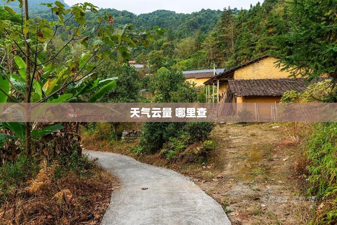 天气云量 哪里查 天气云量 哪里查