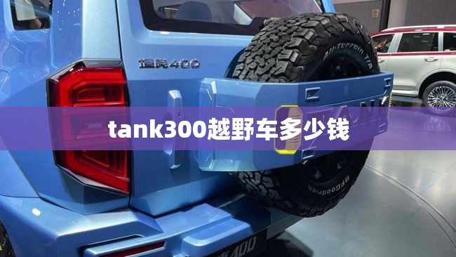 tank300越野车多少钱