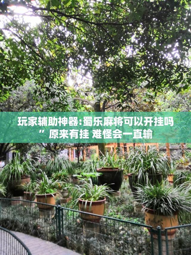 玩家辅助神器:蜀乐麻将可以开挂吗”原来有挂 难怪会一直输