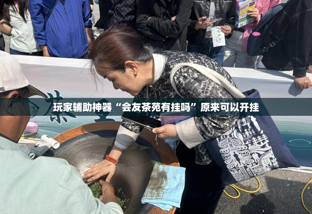 玩家辅助神器“会友茶苑有挂吗”原来可以开挂