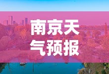 黄牌客车在北京有什么限制