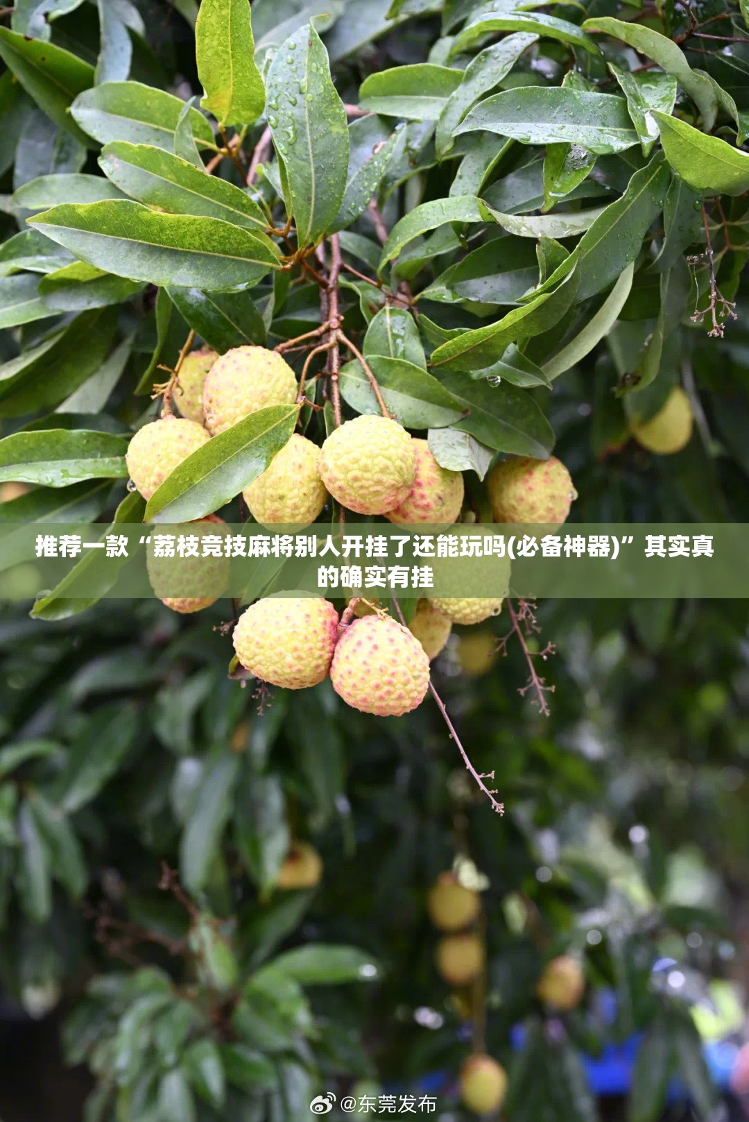 辅助科普实测“迷失之都可以开挂吗”最新辅助详细教程