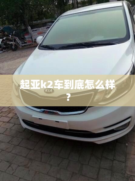 玩家辅助神器“pokerworld助赢神器”有挂详细开挂教程