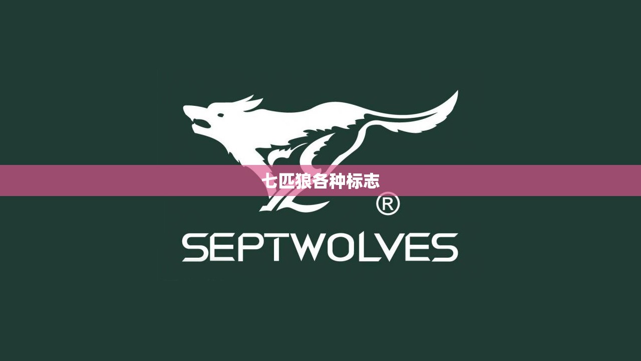 七匹狼各种标志