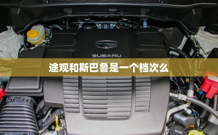 辅助最新信息“畅享麻将怎么开挂”最新辅助详细教程