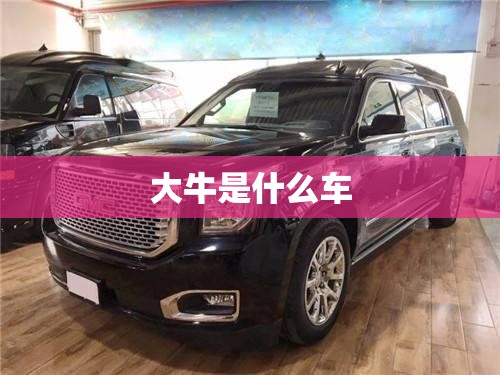 2024新能源车排名前十名,2022年新能源
