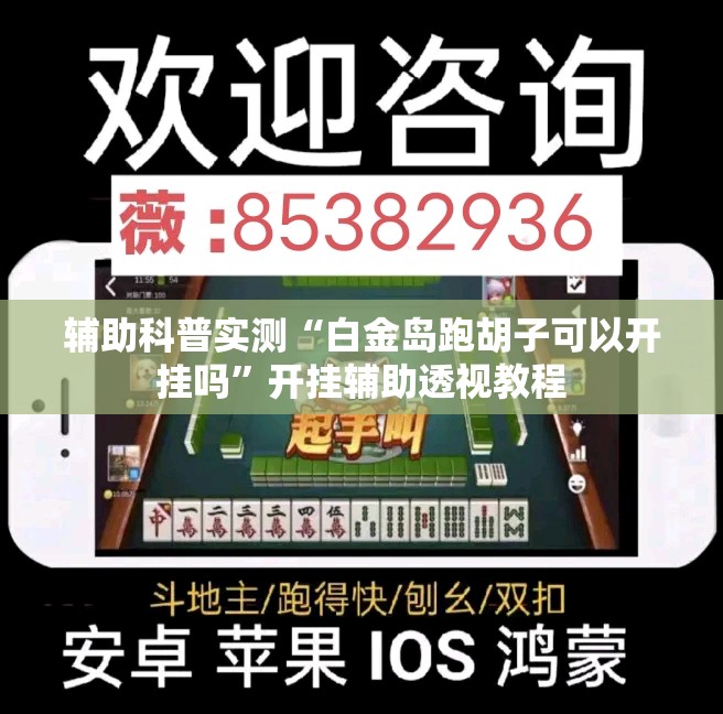 辅助科普实测“白金岛跑胡子可以开挂吗”开挂辅助透视教程