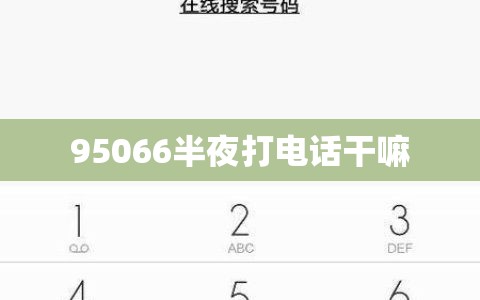 95066半夜打电话干嘛
