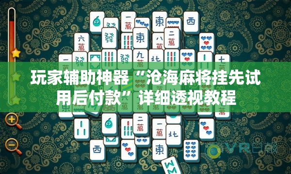 玩家辅助神器“沧海麻将挂先试用后付款”详细透视教程