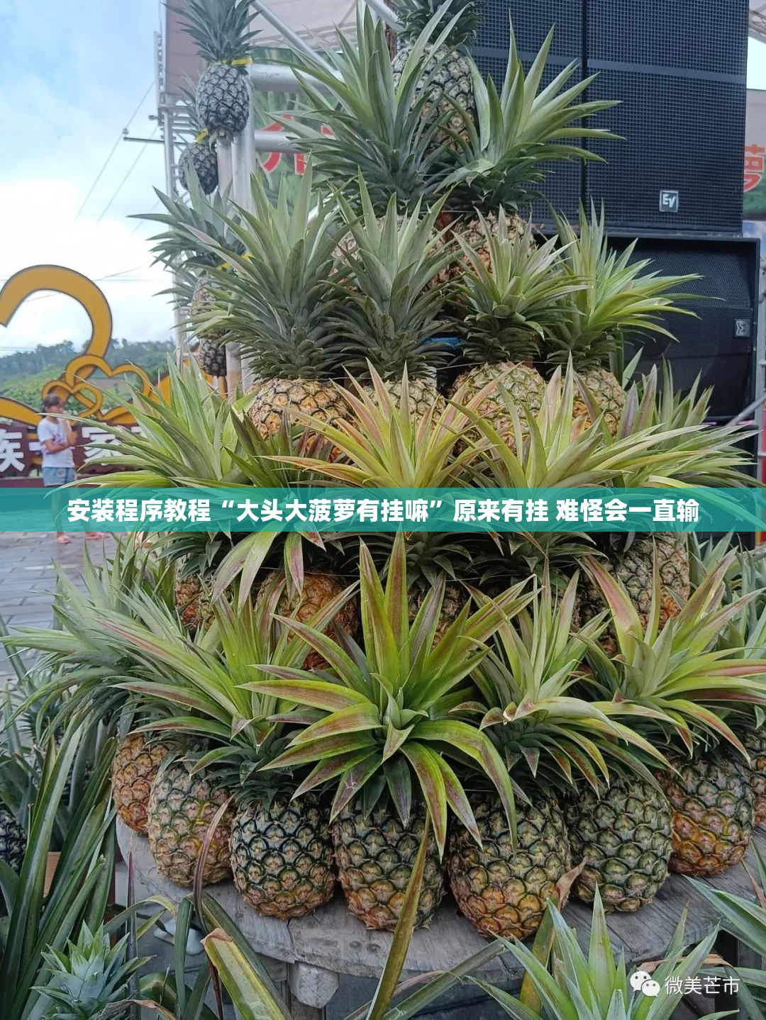 安装程序教程“大头大菠萝有挂嘛”原来有挂 难怪会一直输