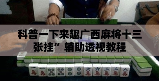 科普一下玖天乐游二八杠有挂吗”详细分享装挂步骤